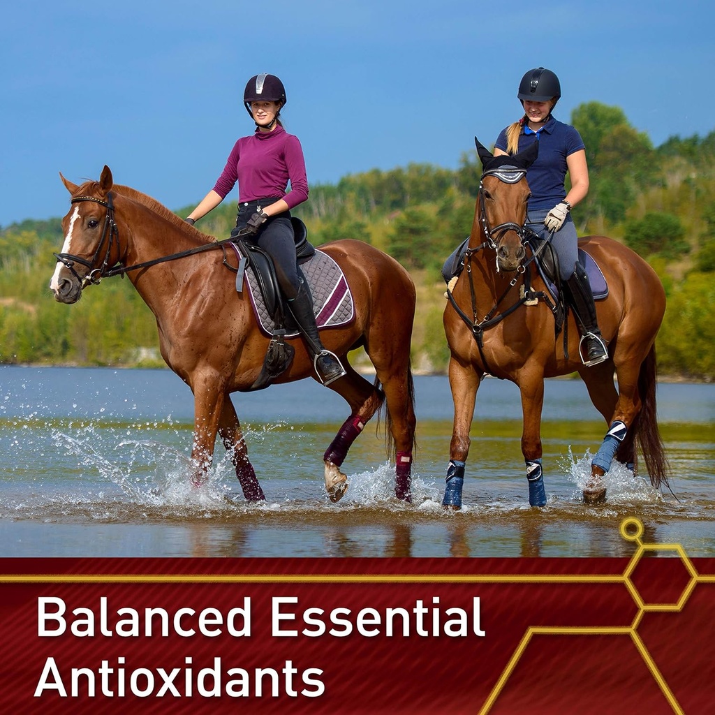 pro-e-and-horse-selenium-supplement-bala-5.jpg