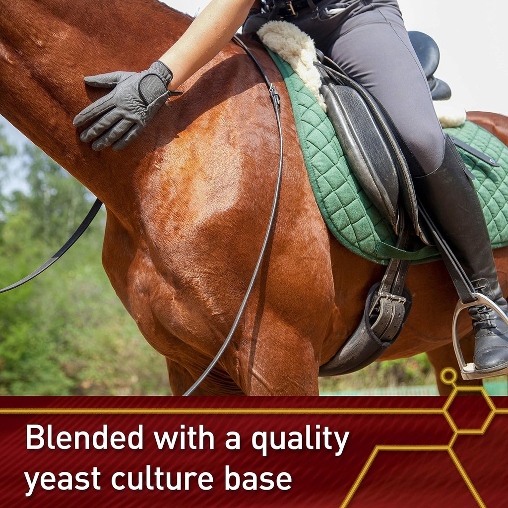 pro-e-and-horse-selenium-supplement-bala-6.jpg