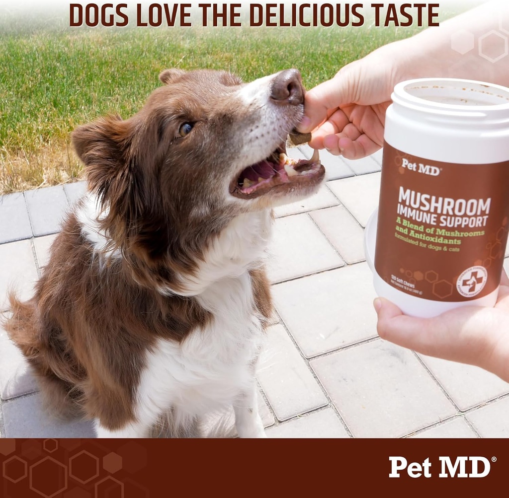 pet-md-mushroom-immune-support-for-dogs--6.jpg