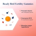 best-nest-wellness-fertility-gummies---p-4.jpg