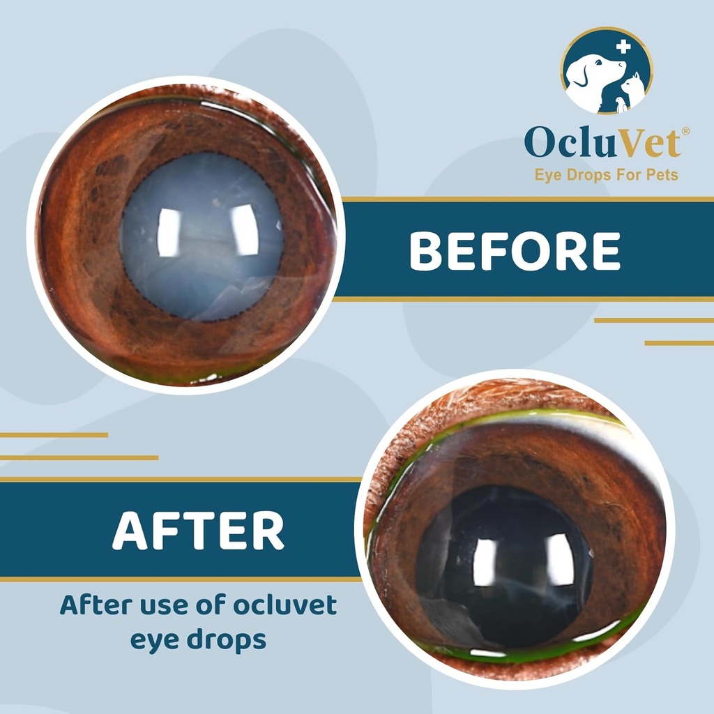 eye-drops-for-pets-clinically-studied-an-4.jpg