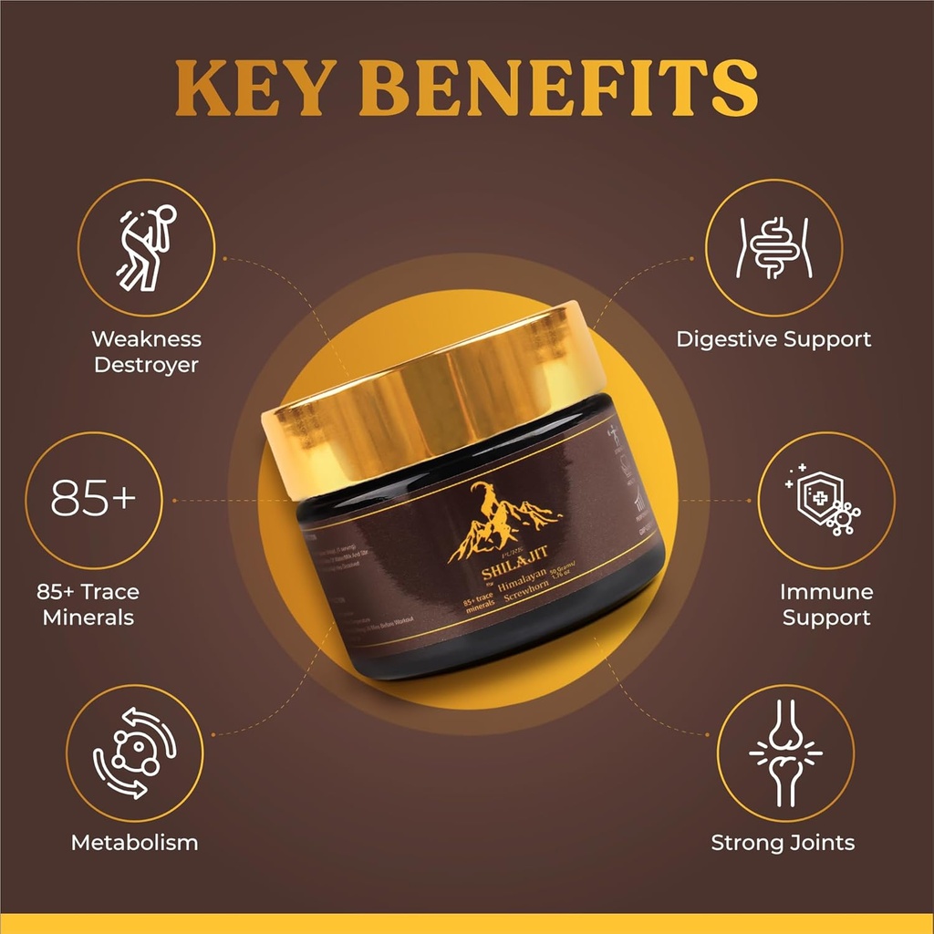 shilajit-pure-himalayan-organic-resin----6.jpg