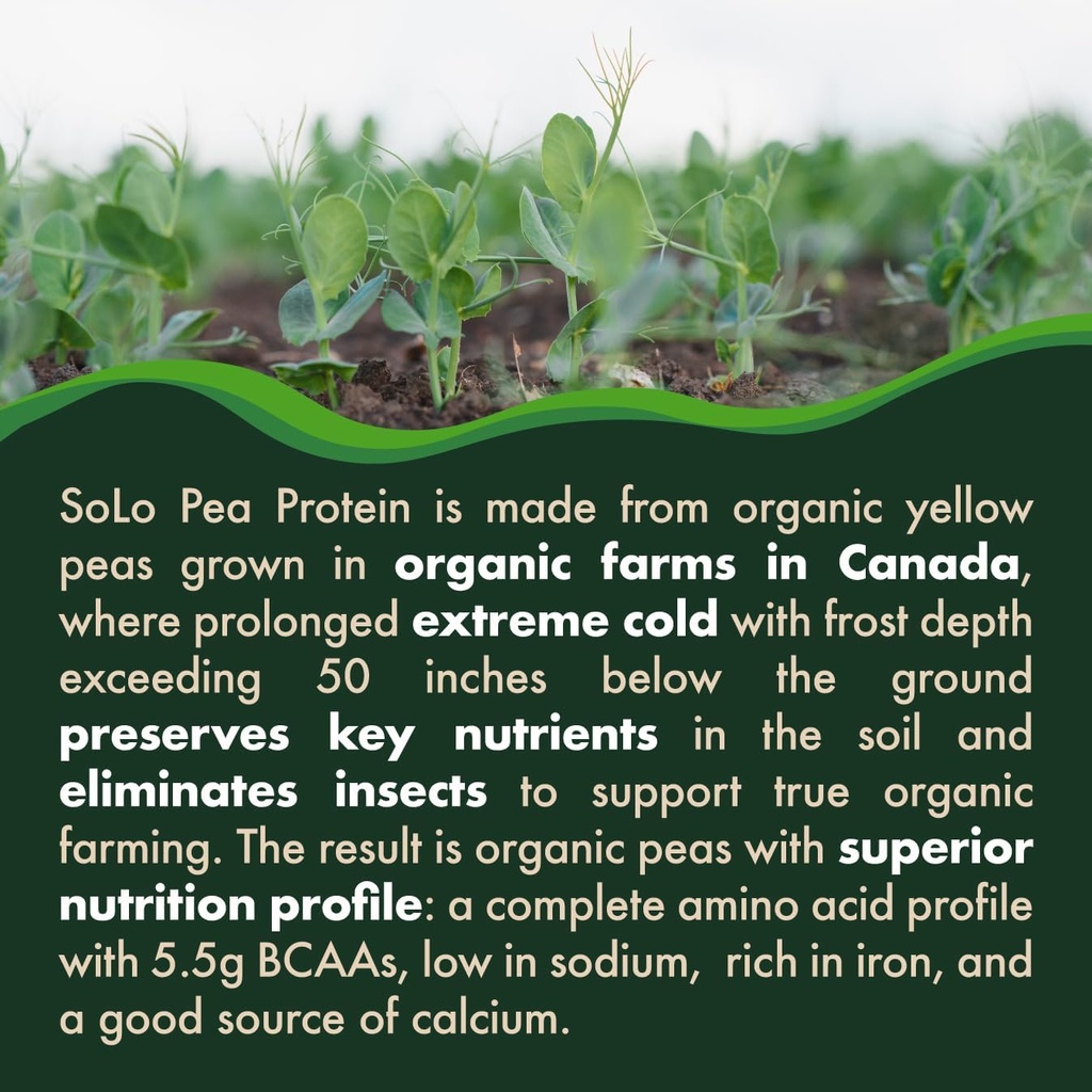 solo-organic-pea-protein-powder-low-in-s-4.jpg