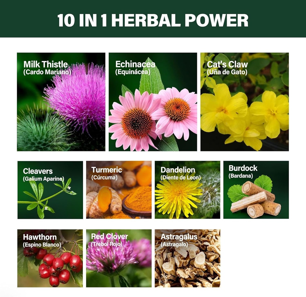 cleavers-lymphatic-drainage-drops-enhanc-3.jpg