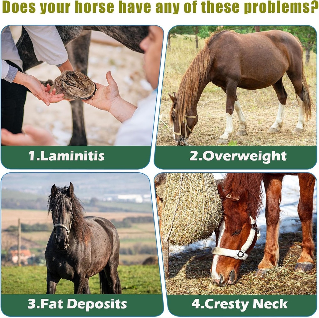 insulin-resistance-supplement-for-horses-3.jpg