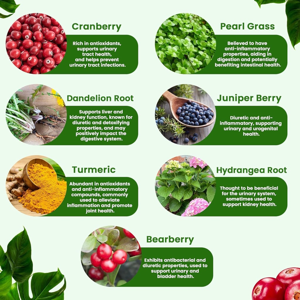 kidney-cleanse-detox-repair-extra-streng-5.jpg