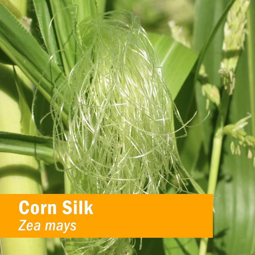 herb-pharm-certified-organic-corn-silk-l-2.jpg