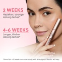 forchics-2-in-1-lash-and-brow-growth-ser-4.jpg