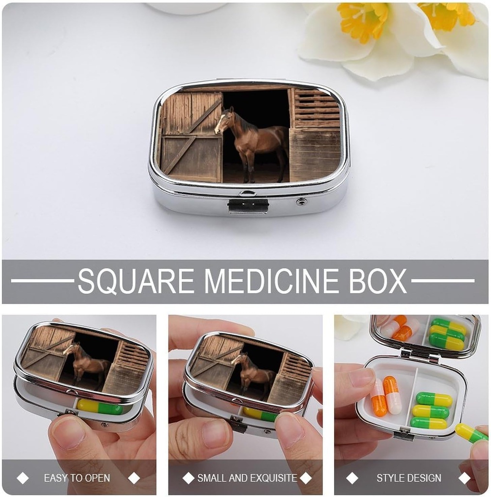 square-pill-case-2-compartment-barn-hors-4.jpg