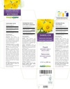 naturalma-dandelion-taraxacum-officinale-2.jpg