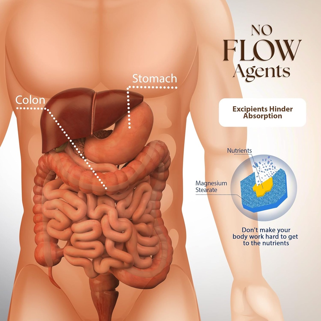 dr-clark-zthyroid-support-immune-system--5.jpg