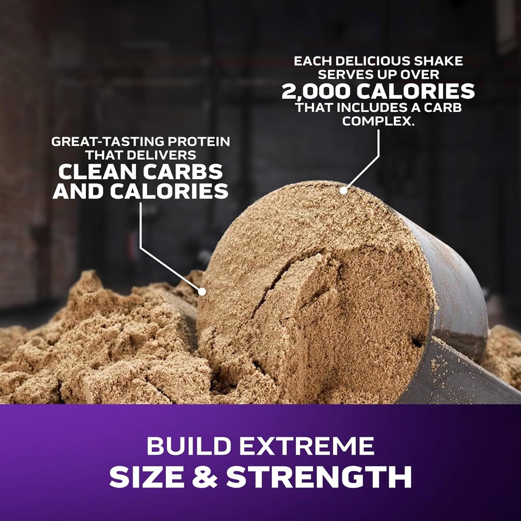 muscletech-high-protein-mass-gainer-vani-4.jpg