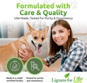 lignans-for-life-flaxseed-and-sdg---omeg-5.jpg