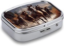horses-square-pill-box-2-compartment-dec-3.jpg