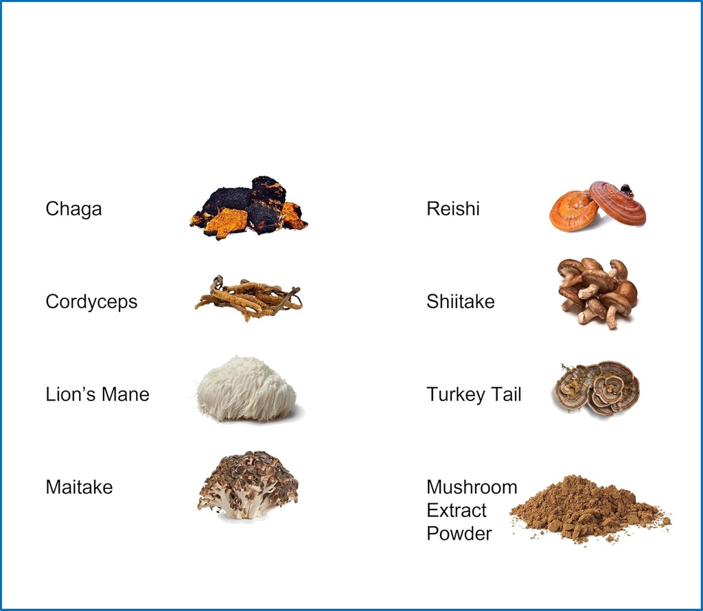 jetsu-pure-7-organic-mushroom-extract-po-3.jpg