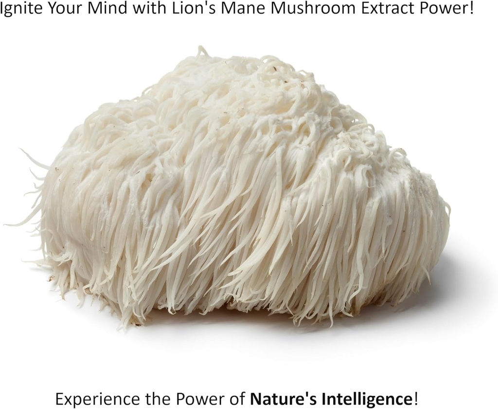 jetsu-pure-7-organic-mushroom-extract-po-4.jpg