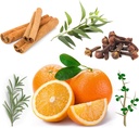 doterra-on-guard-protecting-throat-drops-2.jpg