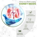 himalayan-organics-organics-kidney-detox-6.jpg