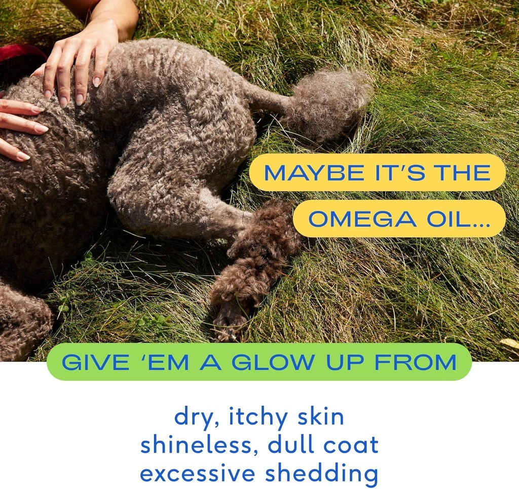 native-pet-omega-oil-for-dogs-8-oz-beef--2.jpg