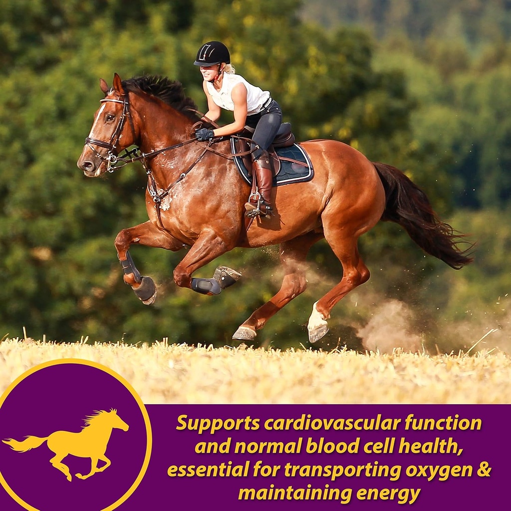 farnam-horse-health-red-cell-pellets-vit-2.jpg