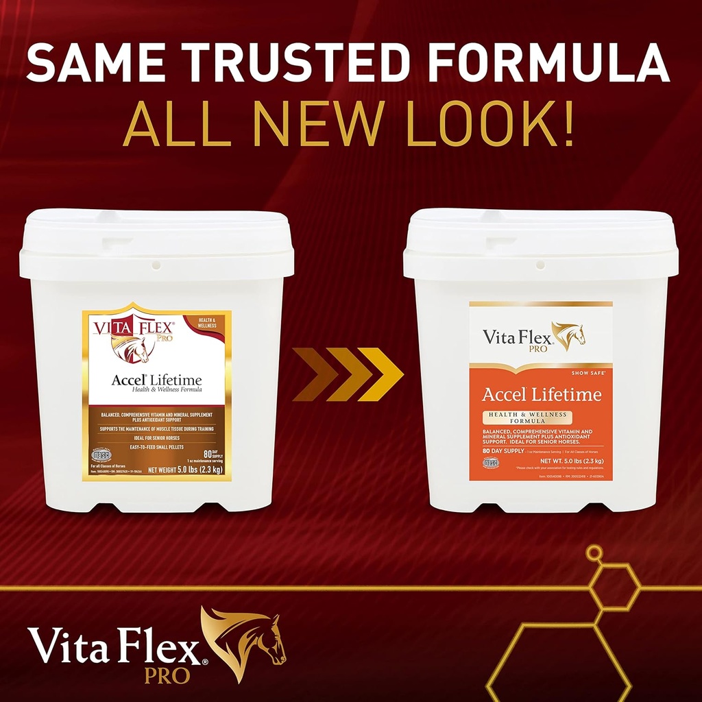 pro-accel-lifetime-health-wellness-formu-2.jpg
