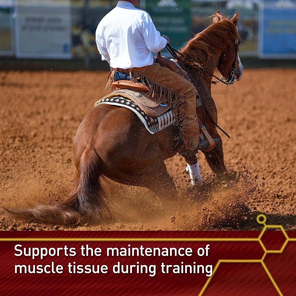 pro-accel-lifetime-health-wellness-formu-4.jpg