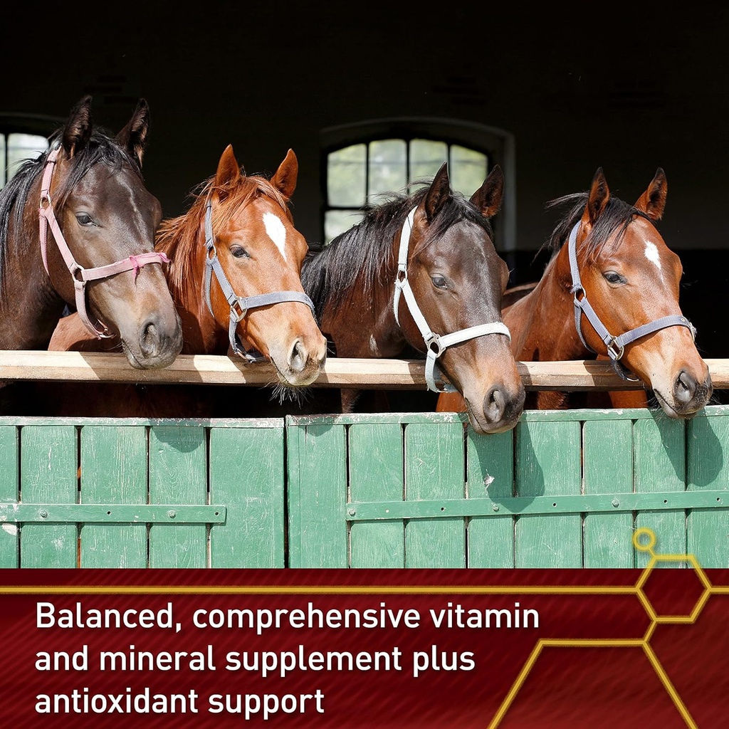 pro-accel-lifetime-health-wellness-formu-5.jpg