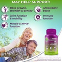 bone-health-gut-support-bundle-3-in-1-pr-6.jpg