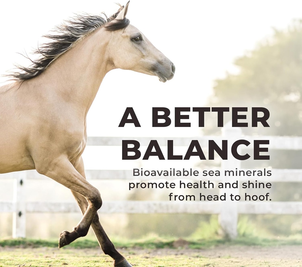 redmond-daily-red-horse-vitamins-and-min-3.jpg