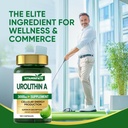 3000-mg-urolithin-a-supplement---120-cap-6.jpg