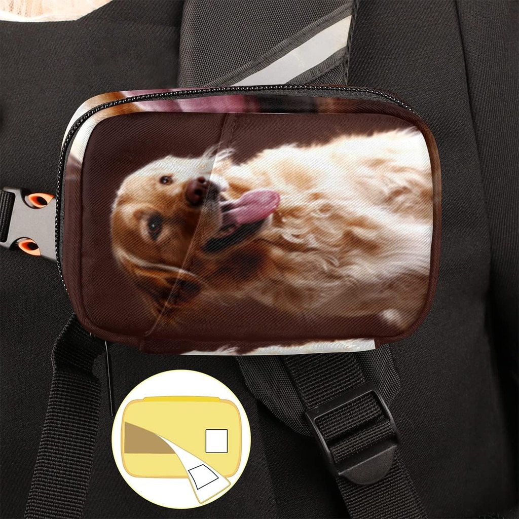 golden-retriever-dog-pill-case-weekly-me-5.jpg