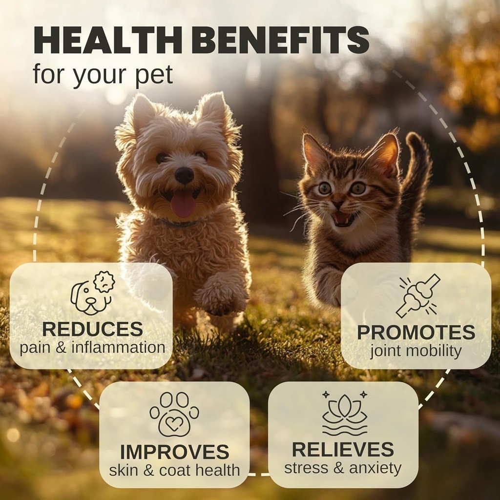 hemp-oil-for-dogs-and-cats---helps-with--2.jpg
