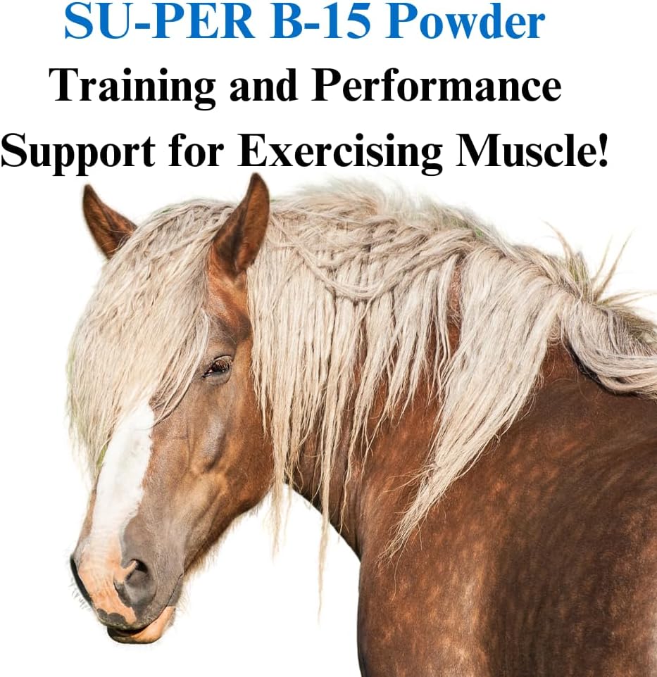 su-per-b-15-vitamin-supplement-for-horse-3.jpg