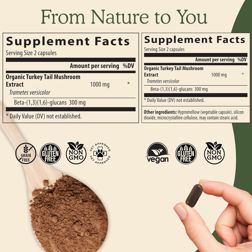 real-mushrooms-immune-support-cognition--3.jpg