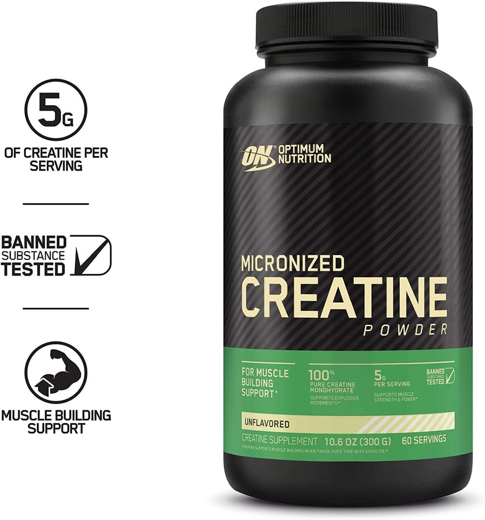 optimum-nutrition-micronized-creatine-po-3.jpg