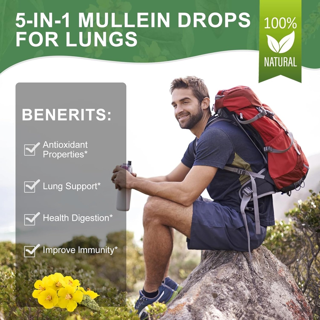 mullein-drops-for-lungs-lymphatic-draina-5.jpg