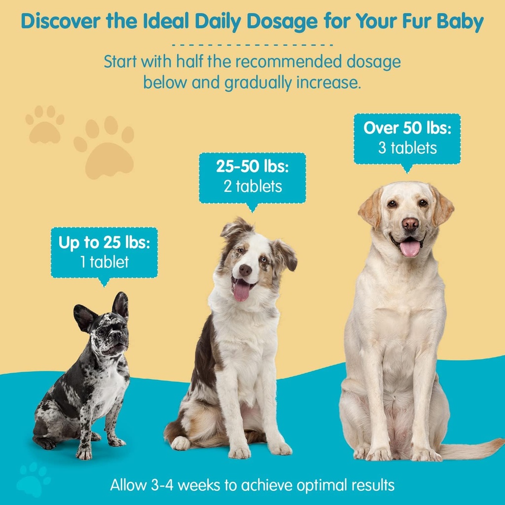 wanderfound-pets-10-in-1-dog-multivitami-6.jpg