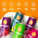 zyn-turmeric-wellness-drink-24-pack-mang-5.jpg