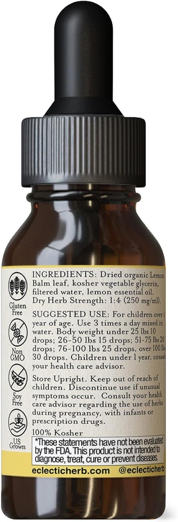 eclectic-institute-kids-herbs-lemon-balm-3.jpg