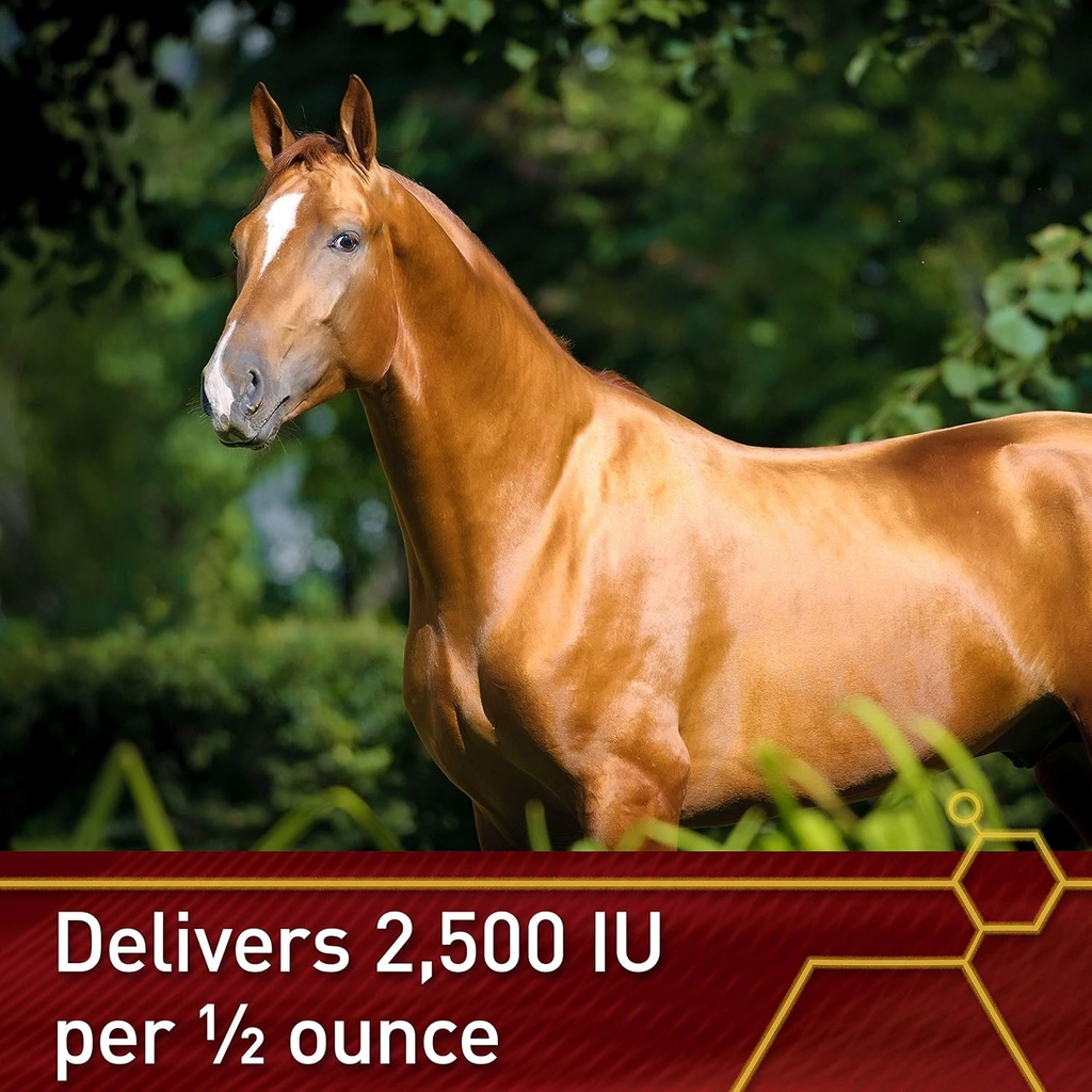 pro-e-5000-premium-quality-horse-vitamin-5.jpg