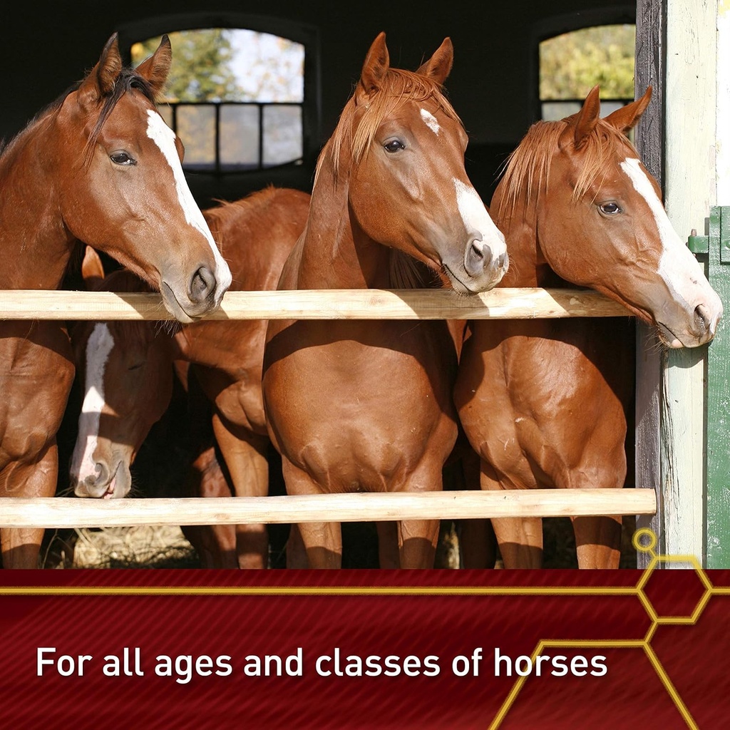 pro-e-5000-premium-quality-horse-vitamin-6.jpg
