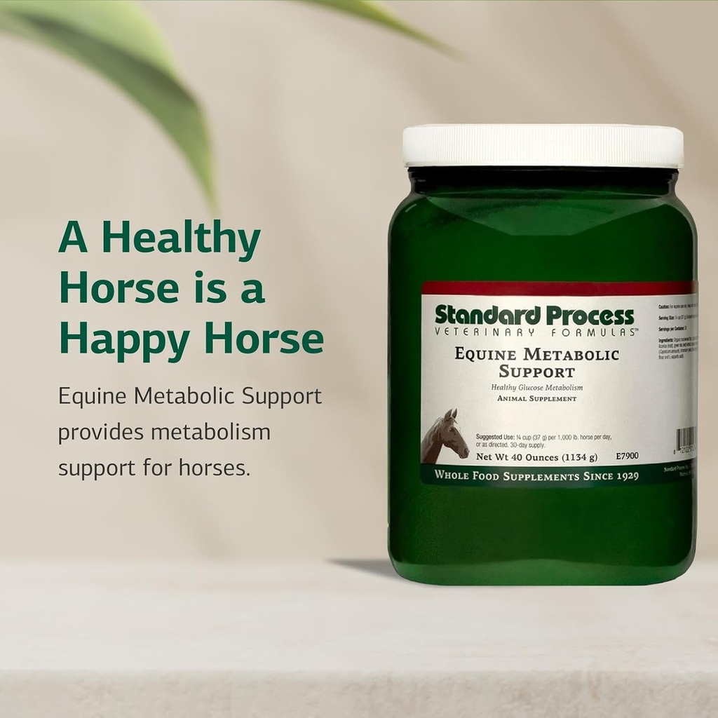 standard-process-inc-equine-metabolic-su-3.jpg