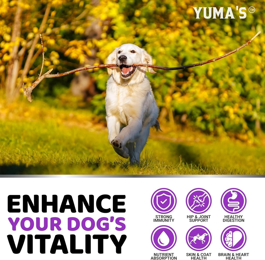 dog-multivitamin-chewable-with-glucosami-5.jpg