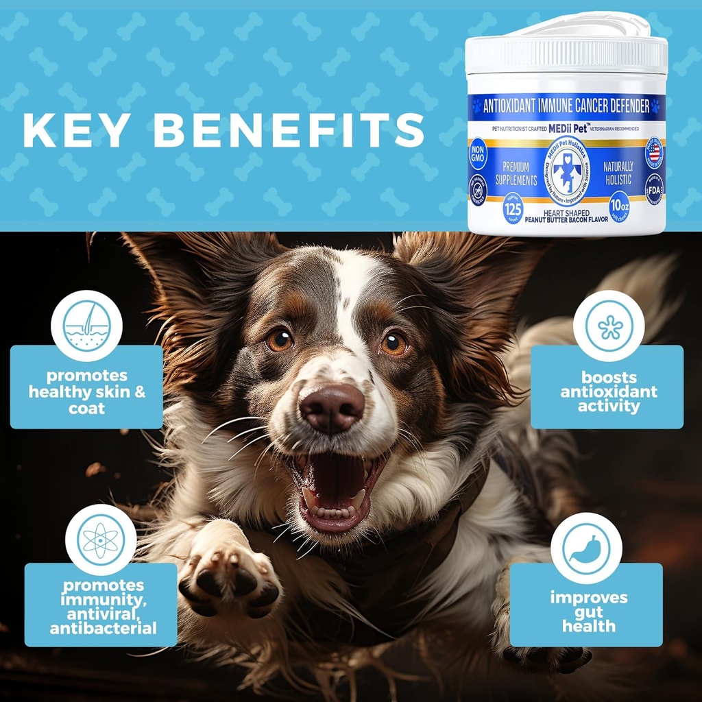 dog-cancer-detox-antioxidants-free-radic-6.jpg