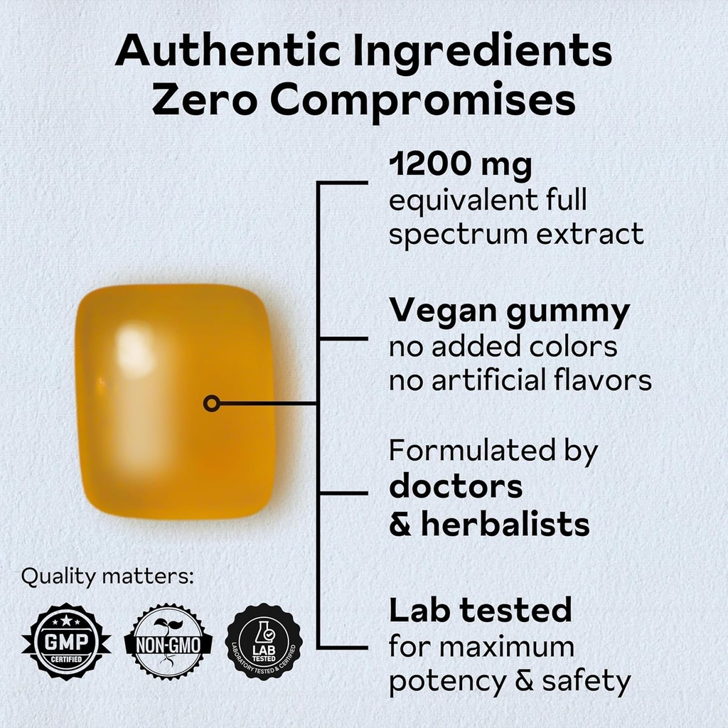 reishi-mushroom-gummies-hongo-reishi-mus-3.jpg
