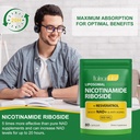 nad-supplement-with-nicotinamide-ribosid-5.jpg
