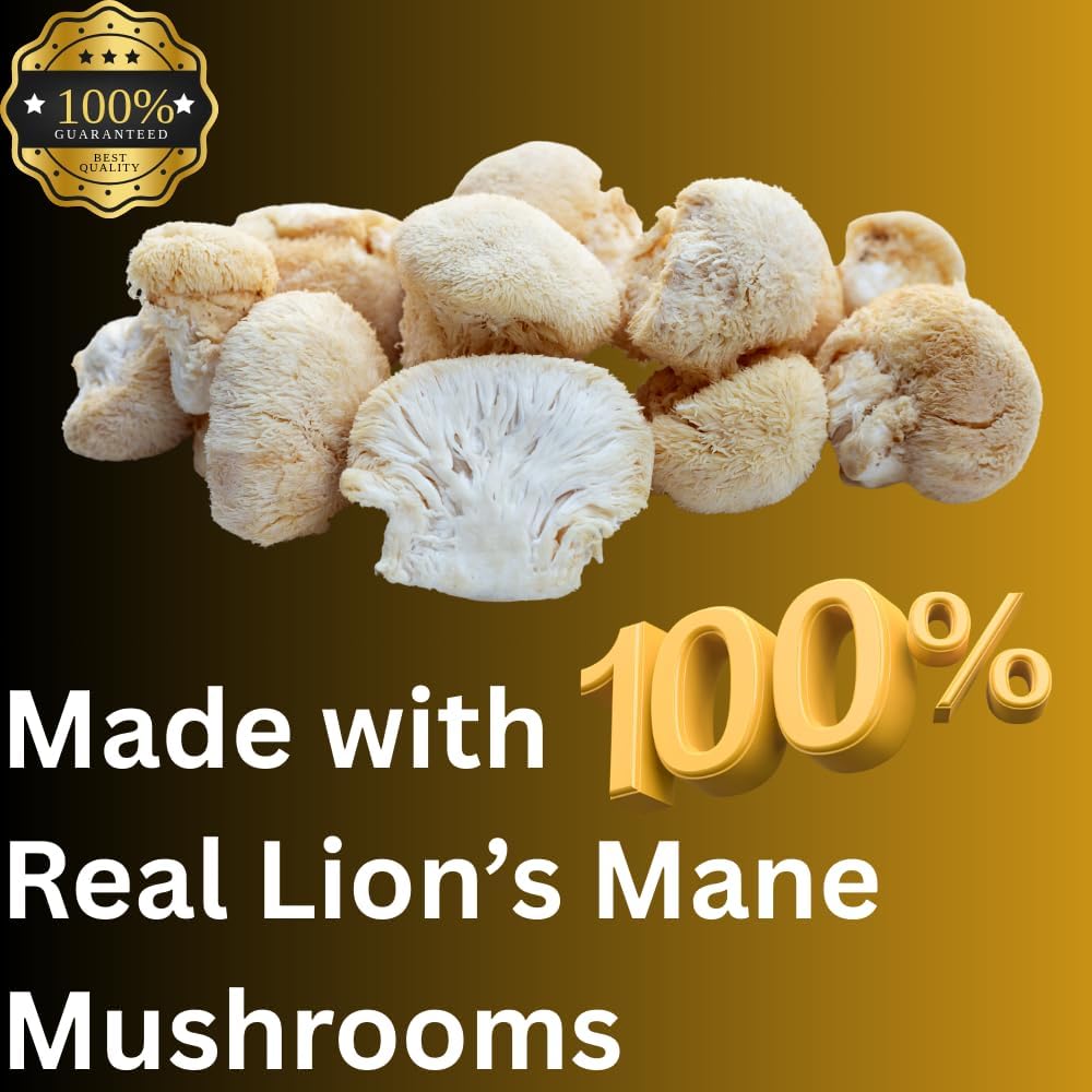 lions-mane-tincture-high-potency-double--5.jpg