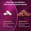 piceid-resveratrol-supplement-and-nad-ce-5.jpg