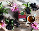 traditional-medicinals-organic-immune-zo-6.jpg