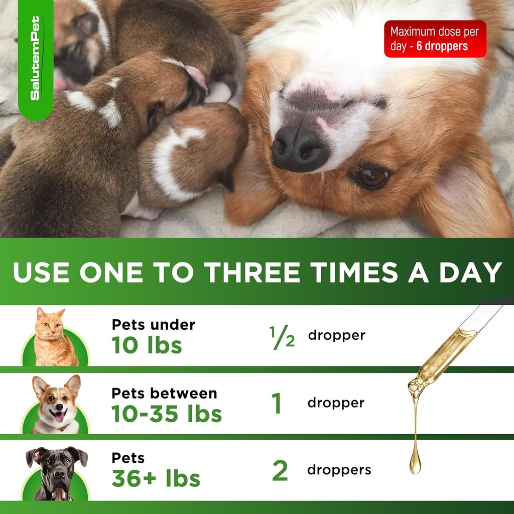 dog-prenatal-vitamins-for-moms-during-la-5.jpg